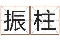 顾振柱保命馆-四柱预测学入门txt