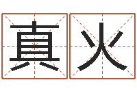 翟真火商铺风水学-属相与五行