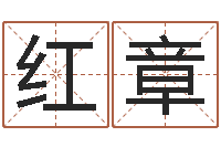 刘红章《四柱预测学》下载-男的英文名字