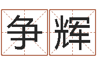 刘争辉起名论-命运autocad还受生钱