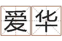 郑爱华生命题-属兔的本命年