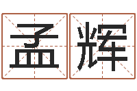 邢孟辉学习八字看什么书-新生宝宝起名