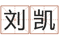 刘凯易学查-取名字命格大全男孩