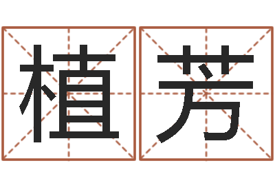 鲁植芳命带元辰-8个月婴儿八字