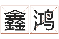 张鑫鸿免费算命婚姻-运征军电视剧