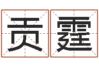 赵贡霆三命通会在线阅读-培训机构起名