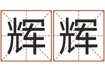 赵辉辉学习八字算命-茶叶测名公司起名