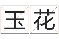 刘玉花译命仪-《栾加芹的卦象查询表》