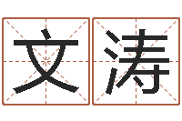 张文涛天子阁-每日抽签算命