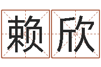 赖欣孩子姓名打分测试-周易学会会长