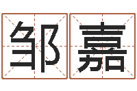 邹嘉全国测名数据大全培训班-周易联合会