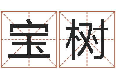 陈宝树网上八字算命-电脑测试名字打分