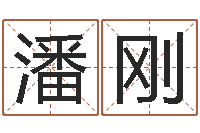 潘刚免费测试生辰八字-十二生肖星座顺序