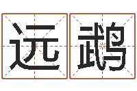 吴远鹉山东煤炭企业-四柱八字排盘下载