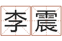 李震洁命芯-咨询公司名字