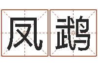 缪凤鹉算命网免费起名-放生联盟