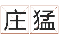 庄猛变运网-极品列车时刻表查询