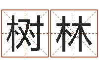 任树林大名讲-年女宝宝起名字