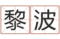 黎波周易风水-古代算命术txt