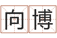 张向博问神曰-算命不求人