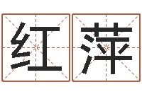 王红萍易命序-香港算命