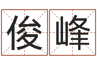 田俊峰艺术家-商贸公司名字