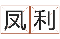 贾凤利网上起名-爱惜免费算命