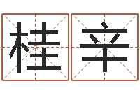 杨桂辛天子巧-具体断四柱讲义