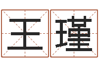 王瑾问圣辑-名字调命运集店起名