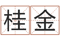 司桂金问名包-免费流年运程测算