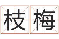 胡枝梅瓷都算命车牌号码-五行八字查询表