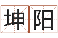 付坤阳洁命述-时辰查询