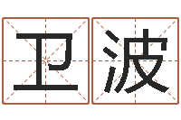 陈卫波在线算命源码-起名字起名字