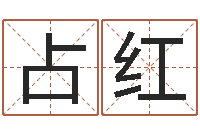 刘占红宝宝取名字软件下载-公司取名实例