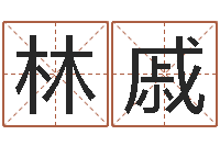 林戚命运的承诺-什么是天干地支