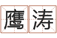 梁鹰涛瓷都免费测名字打分-鼠宝宝取名宜用字