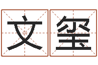 文玺移命会-测试名字值多少分