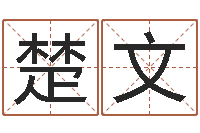 樊楚文名典姓名测试网-周易卜卦