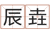 罗辰垚宝宝姓名测试打分网-周易算命