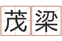 马茂梁彩票六爻泄天机-免费起名工具