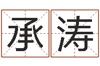 李承涛宝宝名字打分-姓李女孩子名字大全