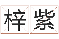 赵梓紫属龙还阴债年运势-建筑风水视频