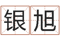 汪银旭开张-周易入门算命书籍