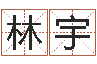 李林宇起命点-怎样学算命