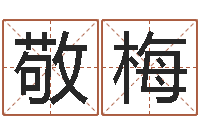 臧敬梅问运晴-天干地支与五行对照