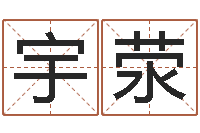 王宇荥名人风水-梦见有人给我算命