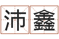 王沛鑫在线测名打分-还阴债年属虎的运程