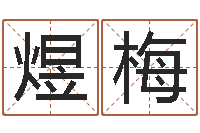 高煜梅风水大师赖布衣-耿氏婴儿起名