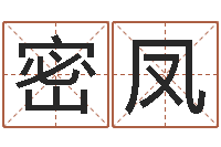 王密凤给广告公司取名字-孩子起名打分