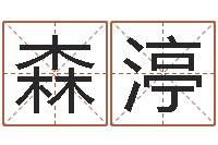 王森渟汉字姓名学-算命网生辰八字起名